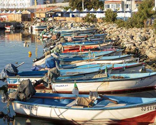 website design,klickhier,klick hier,web mit pep,webseiten,domain,ionos,hosting,server,baukasten,erstellung,betreuung,renovierung,cheap,billig,free,kostenlos,schnell,deutsch,hannover,deutschland,professionell,web designer,web visitenkarte,seo,suchmaschienenoptimierung,e-mail adresse